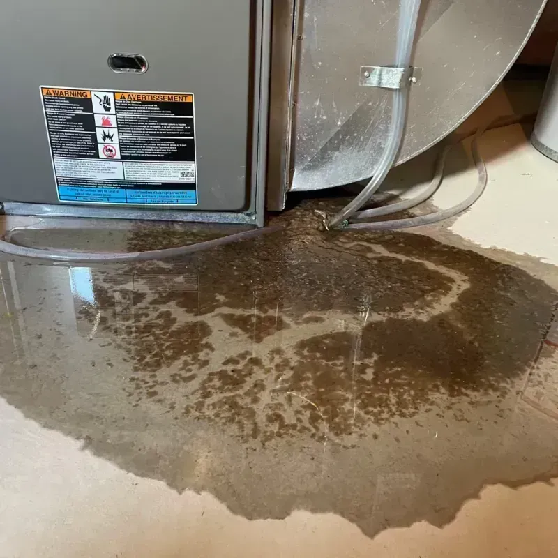 Appliance Leak Cleanup in Benton, IL